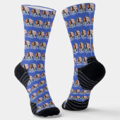 Harris Walz Socken (Gewinkelt)