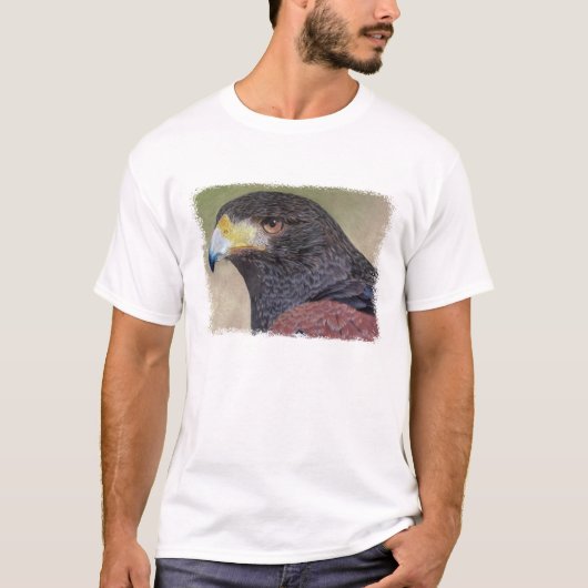 Harrisc$falke-cp T-Shirt (Vorderseite)