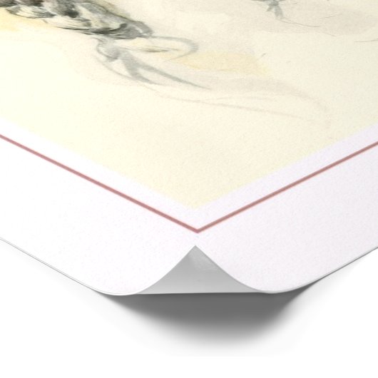 Harrison Fisher Poster (Ecke)