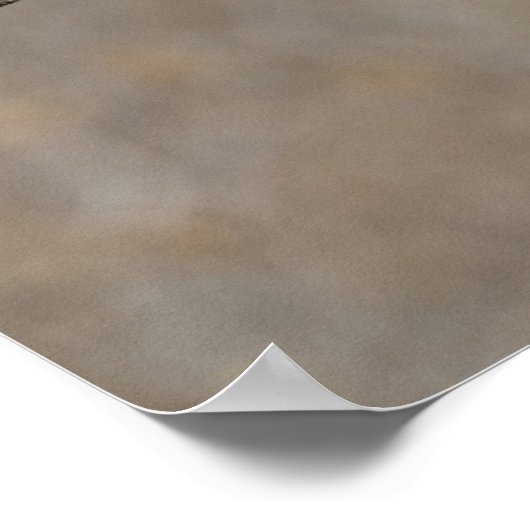 Harris's Hawk-Schraptor Poster (Ecke)