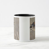 Harris's Hawk-Schraptor Tasse (Zentrum)