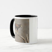 Harris's Hawk-Schraptor Tasse (Vorderseite Links)