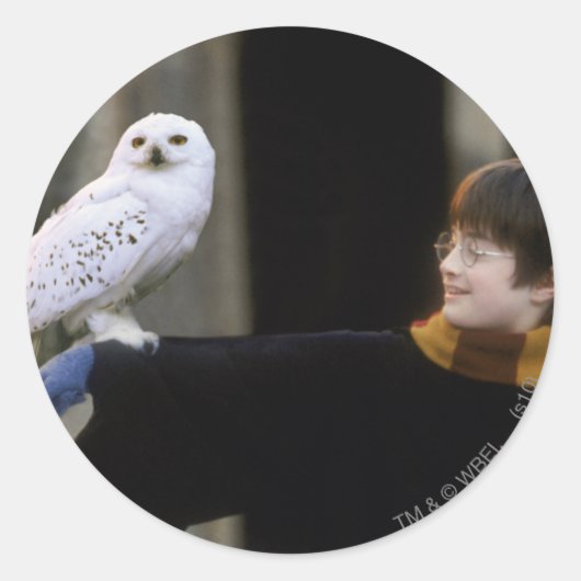 Harry and Hedwig 3 Runder Aufkleber (Vorderseite)