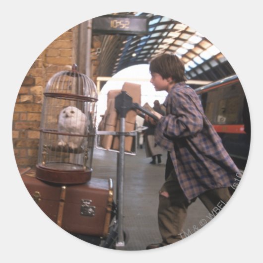 Harry and Hedwig PLATFORM 9 3/4™ Runder Aufkleber (Vorderseite)
