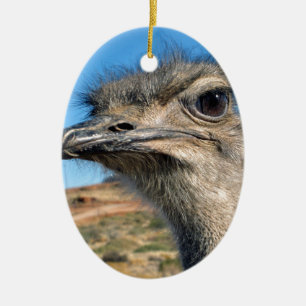 Harry der glückliche Strauß Keramikornament
