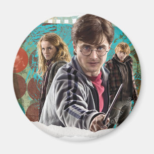 Harry, Hermione und Ron 1 Magnet