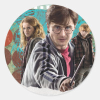 Harry, Hermione und Ron 1
