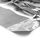 Harry Houdini Poster (Ecke)