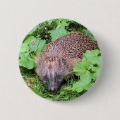Harry-Igel Button (Vorderseite)