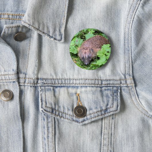 Harry-Igel Button (Beispiel)