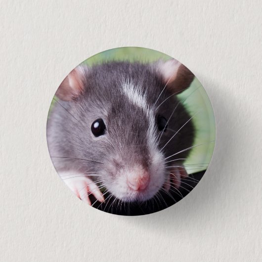 Harry-Knopf Button (Vorderseite)