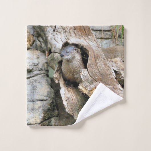 Harry Otter Badhandtuch Set (Waschlappen)