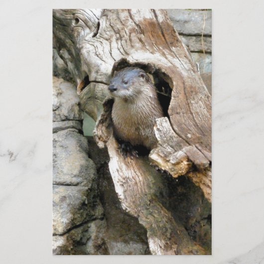 Harry Otter Briefpapier (Vorderseite)