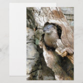 Harry Otter Briefpapier (Vorne/Hinten)