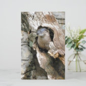 Harry Otter Briefpapier (Stehend Vorderseite)
