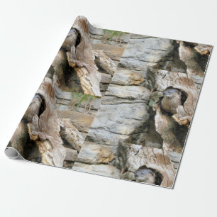 Harry Otter Geschenkpapier