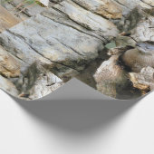 Harry Otter Geschenkpapier (Ecke)