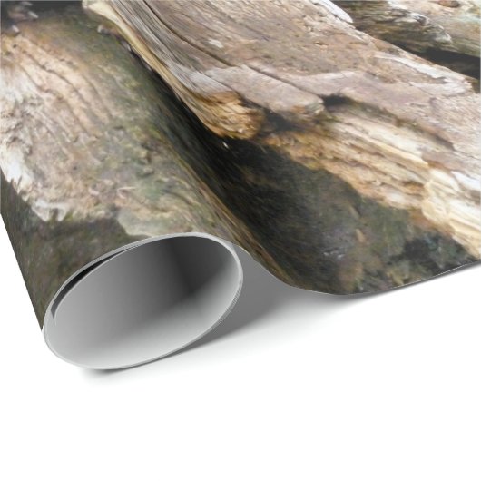 Harry Otter Geschenkpapier (Rolleneckpunkt)