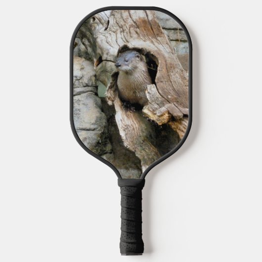 Harry Otter Pickleball Schläger (Vorderseite)