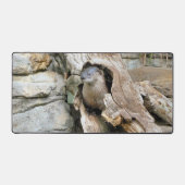 Harry Otter Schreibtischunterlage (Vorderseite)