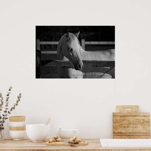 Harry Poster (Küche)