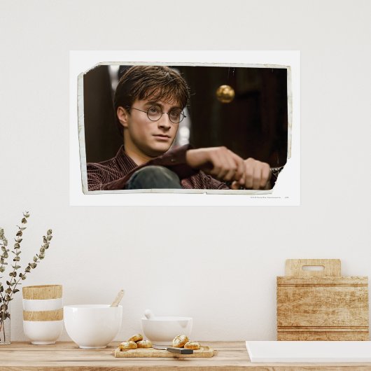 Harry Potter 17 Poster (Küche)