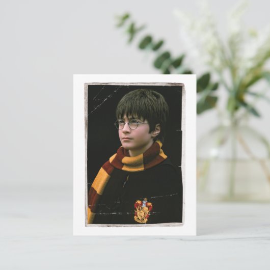 Harry Potter 2 Postkarte (Stehend Vorderseite)
