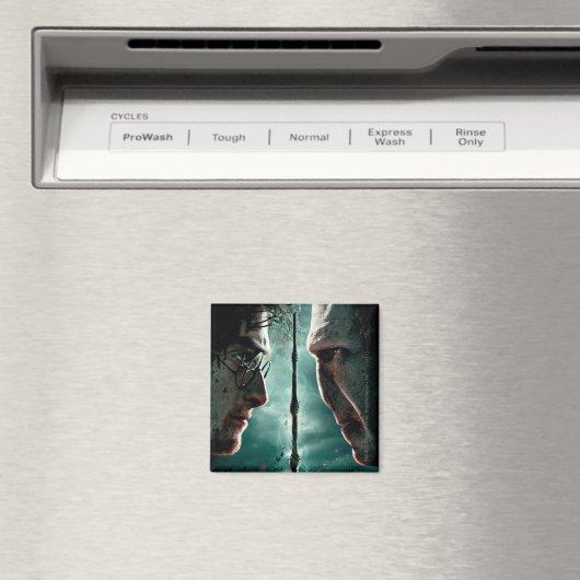 Harry Potter 7 Part 2 - Harry vs Voldemort Magnet (In Situ (Geschirrspüler))