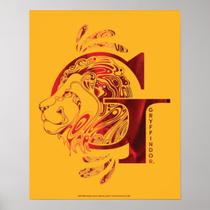 Harry Potter   Aguamenti GRYFFINDOR™ Grafik Poster