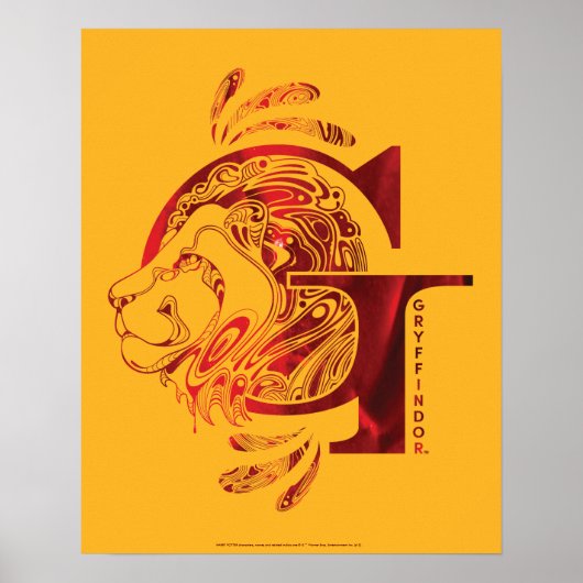 Harry Potter | Aguamenti GRYFFINDOR™ Grafik Poster (Vorne)
