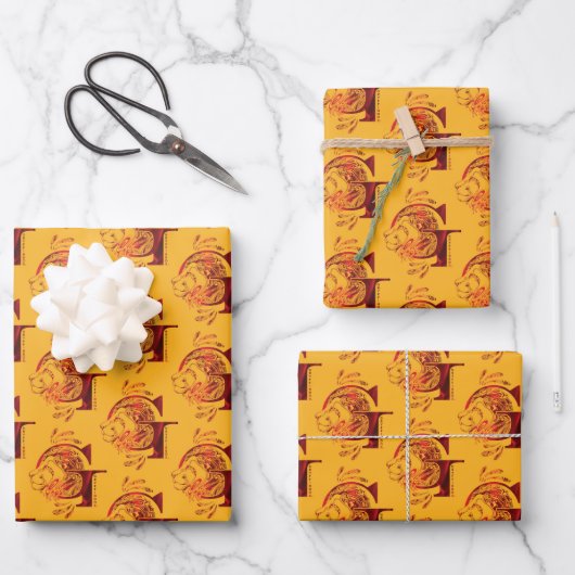 Harry Potter Aguamenti GRYFFINDOR™ Graphic Geschenkpapier Set (Vorderseite)
