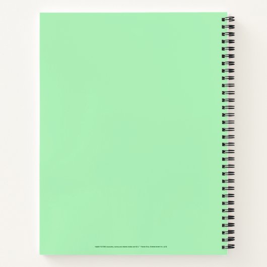 Harry Potter Aguamenti SLYTHERIN™ Graphic Notizblock (Rückseite)