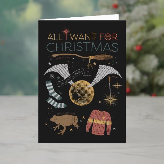 HARRY POTTER™ Alles, was ich zu Weihnachten will