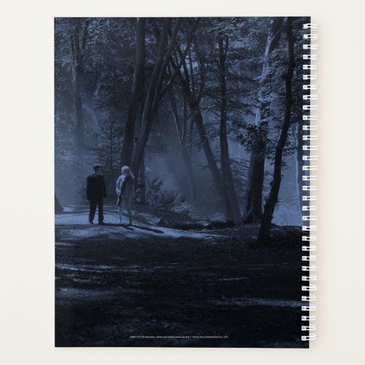 Harry Potter | außergewöhnlich gewöhnlich Planer (Rückseite)