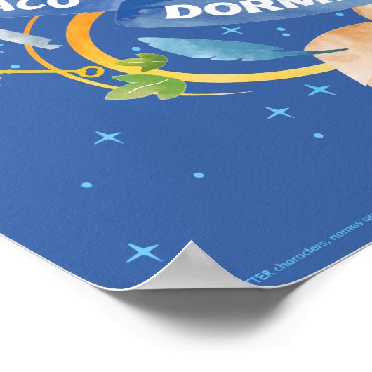 Harry Potter | Charming HOGWARTS™ Castle Poster (Ecke)