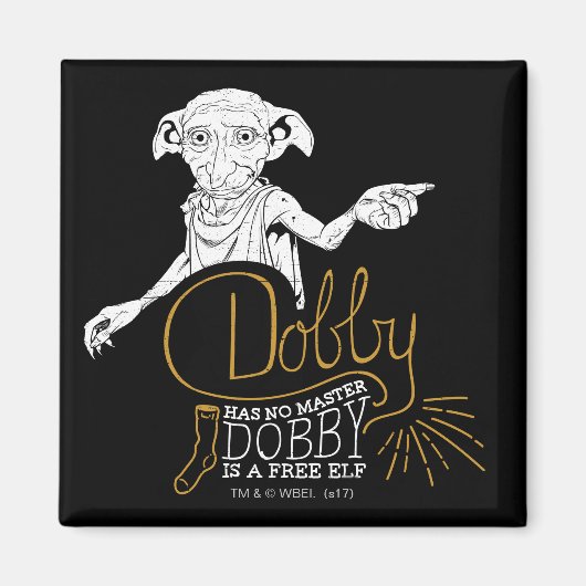 Harry Potter | Dobby hat keinen Master Magnet (Vorne)