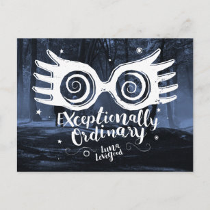 Harry Potter   Exceptionally Ordinary Postkarte