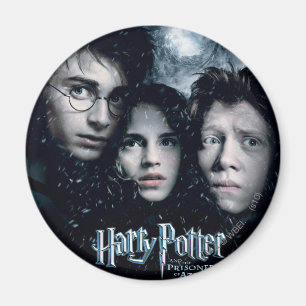Harry-Potter-Filmplakat Magnet
