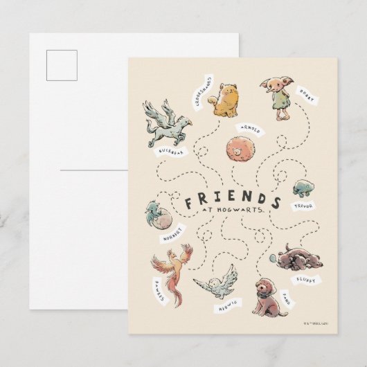HARRY POTTER™ | Freunde von Hogwarts Postkarte (Vorne/Hinten)