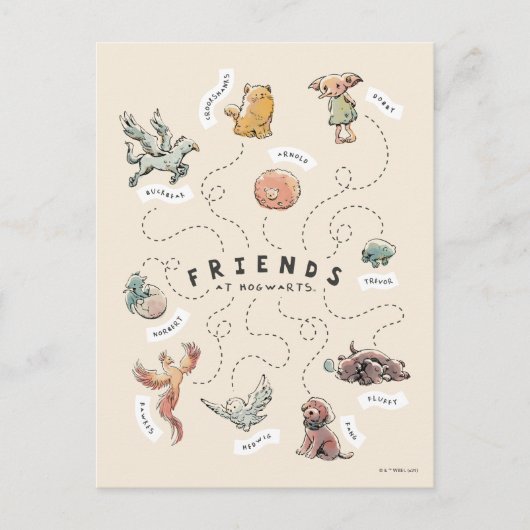 HARRY POTTER™ | Freunde von Hogwarts Postkarte (Vorderseite)