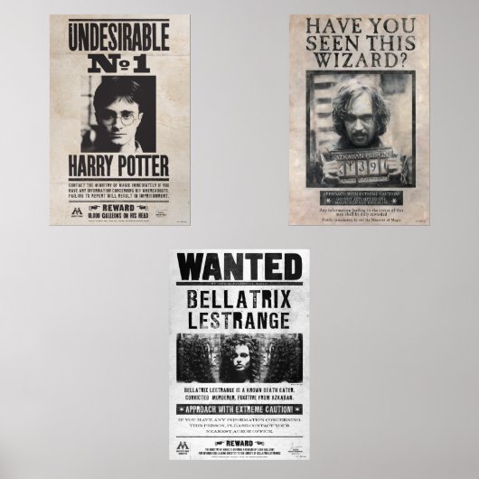 HARRY POTTER™ Gewollt Bilderwand Sets (Vorderseite)