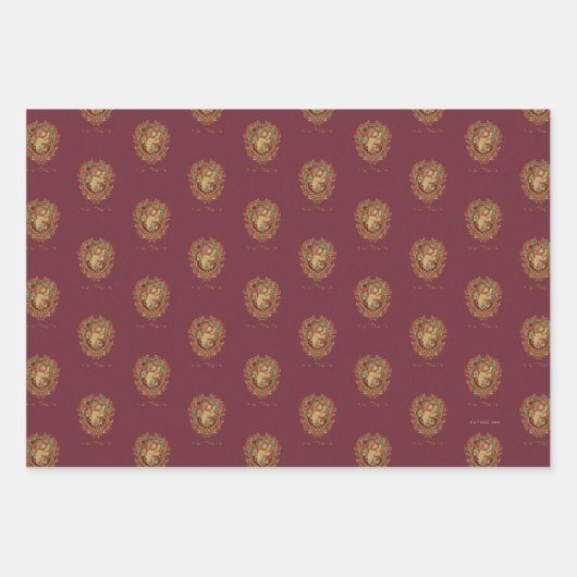 HARRY POTTER™ | GRYFFINDOR™ Wappen Geschenkpapier Set (Vorderseite 3)