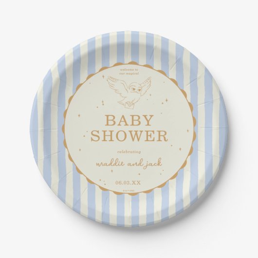 Harry Potter Hedwig Blue Stripe Baby Shower Pappteller (Vorderseite)