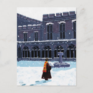 HARRY POTTER™ & Hedwig im HOF von HOGWARTS™ Postkarte