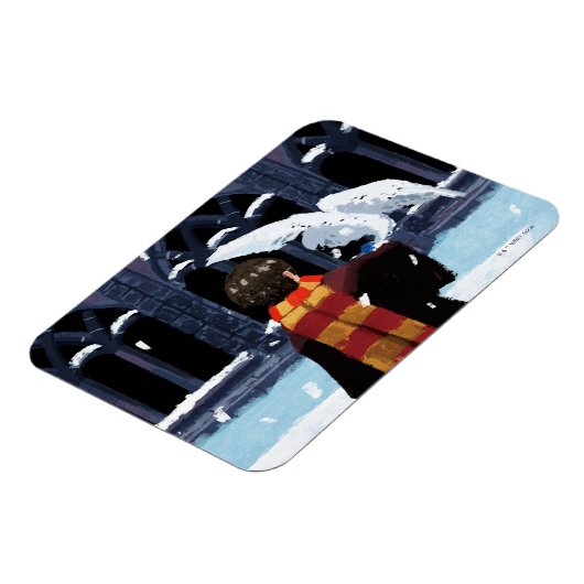HARRY POTTER™ & Hedwig im Schnee Magnet (Linke Seite)