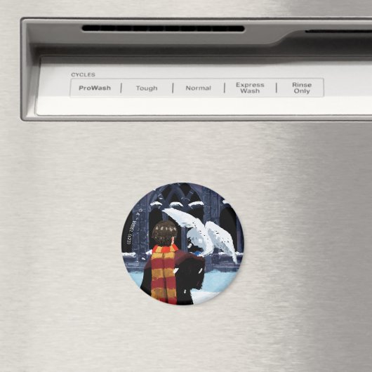 HARRY POTTER™ & Hedwig im Schnee Magnet (In Situ (Geschirrspüler))