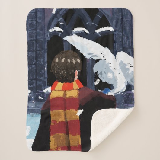 HARRY POTTER™ & Hedwig im Schnee Sherpadecke (Vorderseite)