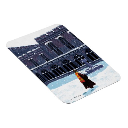 HARRY POTTER™ & Hedwig in HOGWARTS™ Hof Magnet (Rechte Seite)