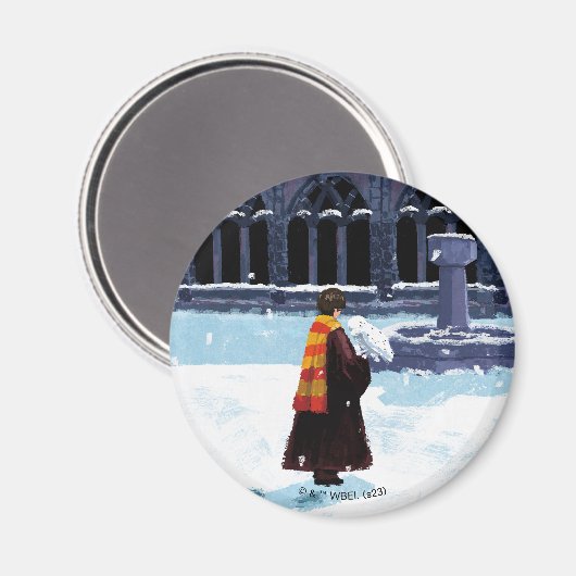 HARRY POTTER™ & Hedwig in HOGWARTS™ Hof Magnet (Vorderseite/Rückseite)