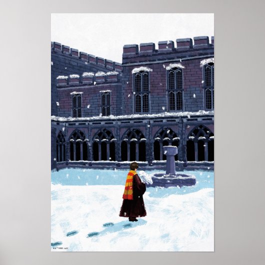 HARRY POTTER™ & Hedwig in HOGWARTS™ Hof Poster (Vorne)